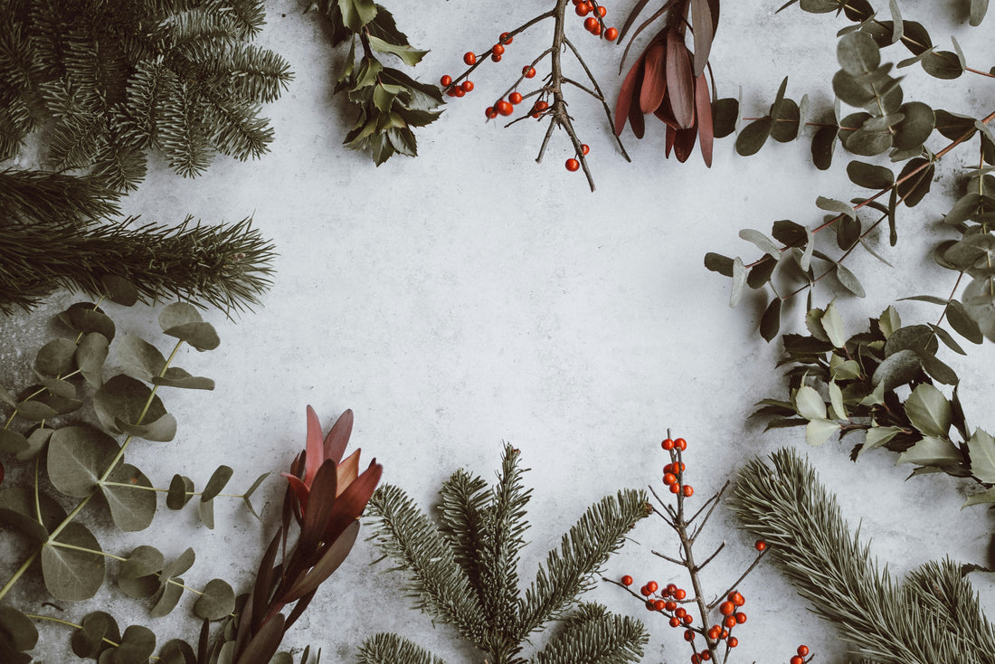 December Newsletter