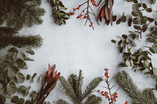 December Newsletter