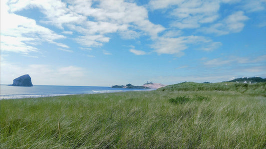 November Newsletter- Important Changes for the Remainder of 2025